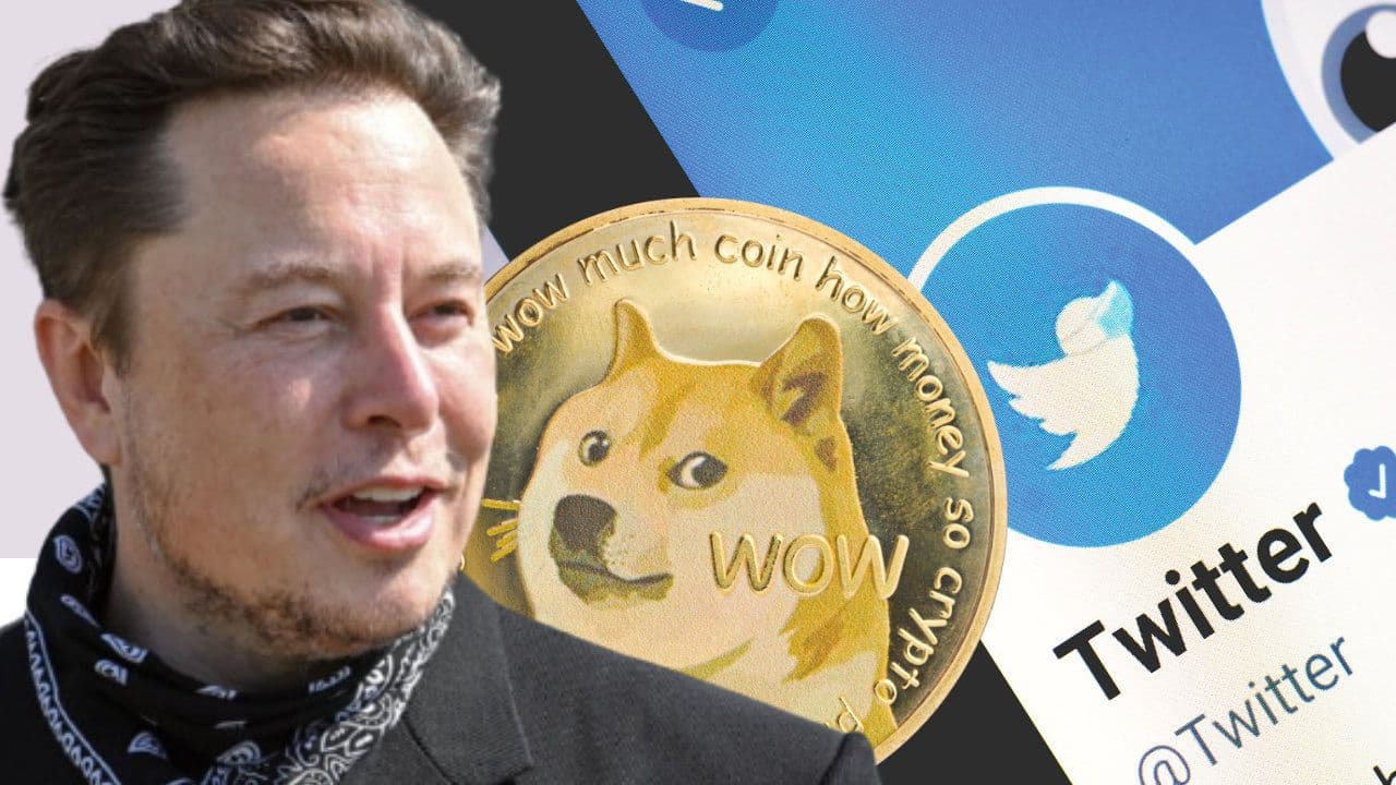 Elon Musk Sued for $258 billion Over Dogecoin 'Pyramid Scheme'