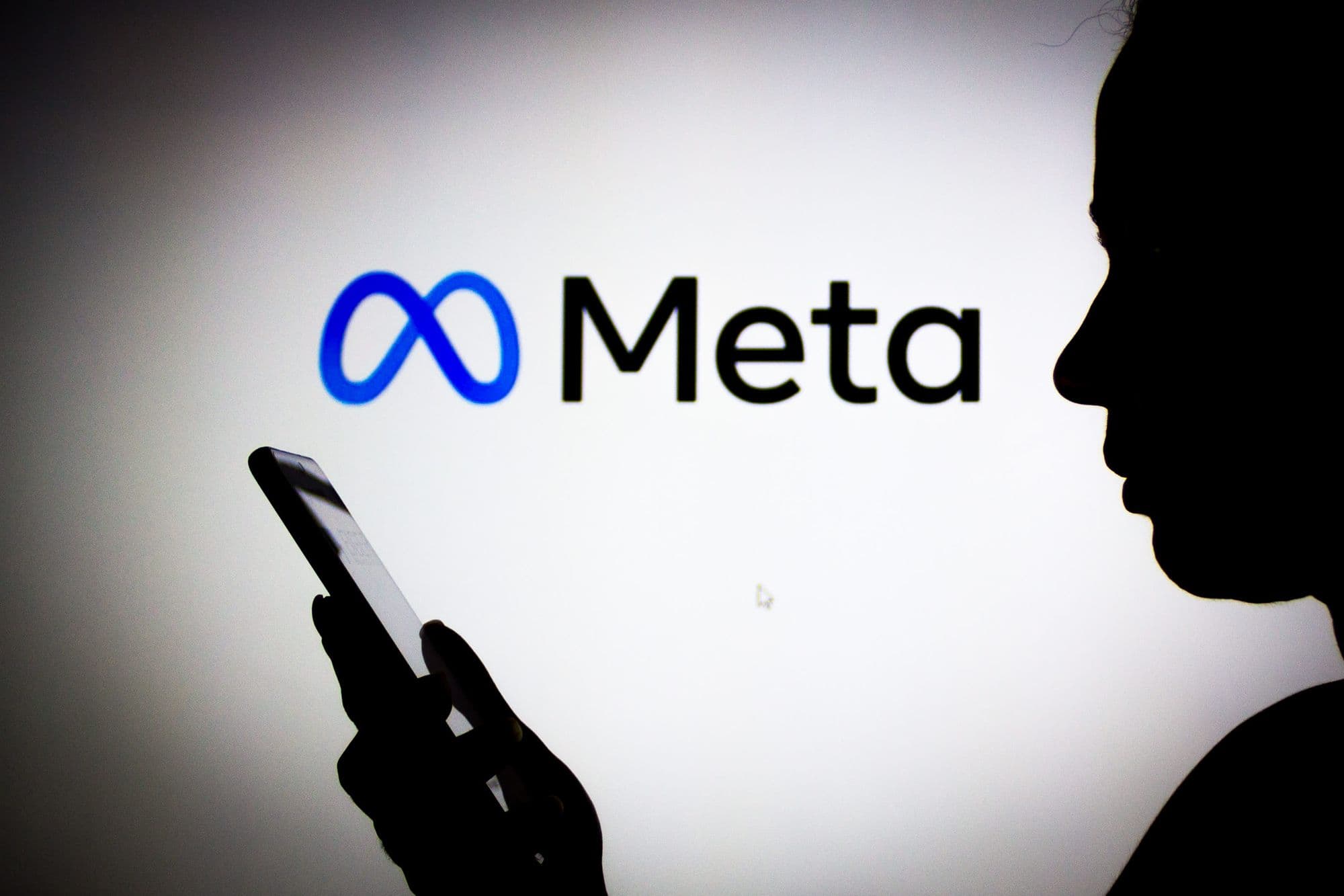 Meta Makes Money on Advertising from Fake Accounts