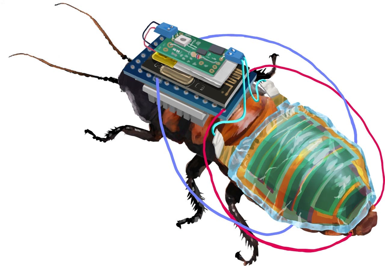 Japanese Scientists Create Remote-Controlled Cyborg Cockroaches